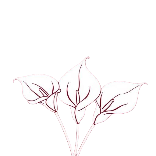 Three calla lilies